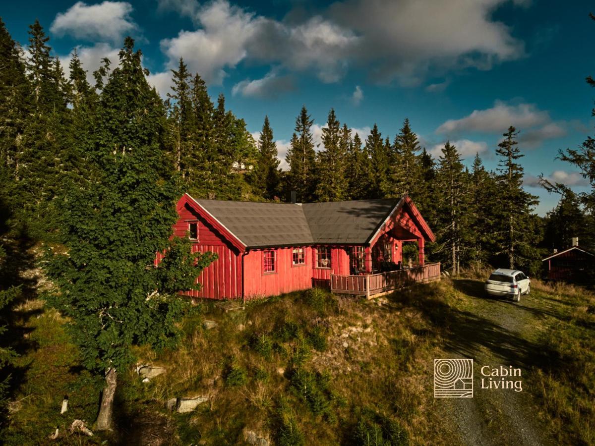Large 2 Baths And Sauna In Sjusjoen Holiday home