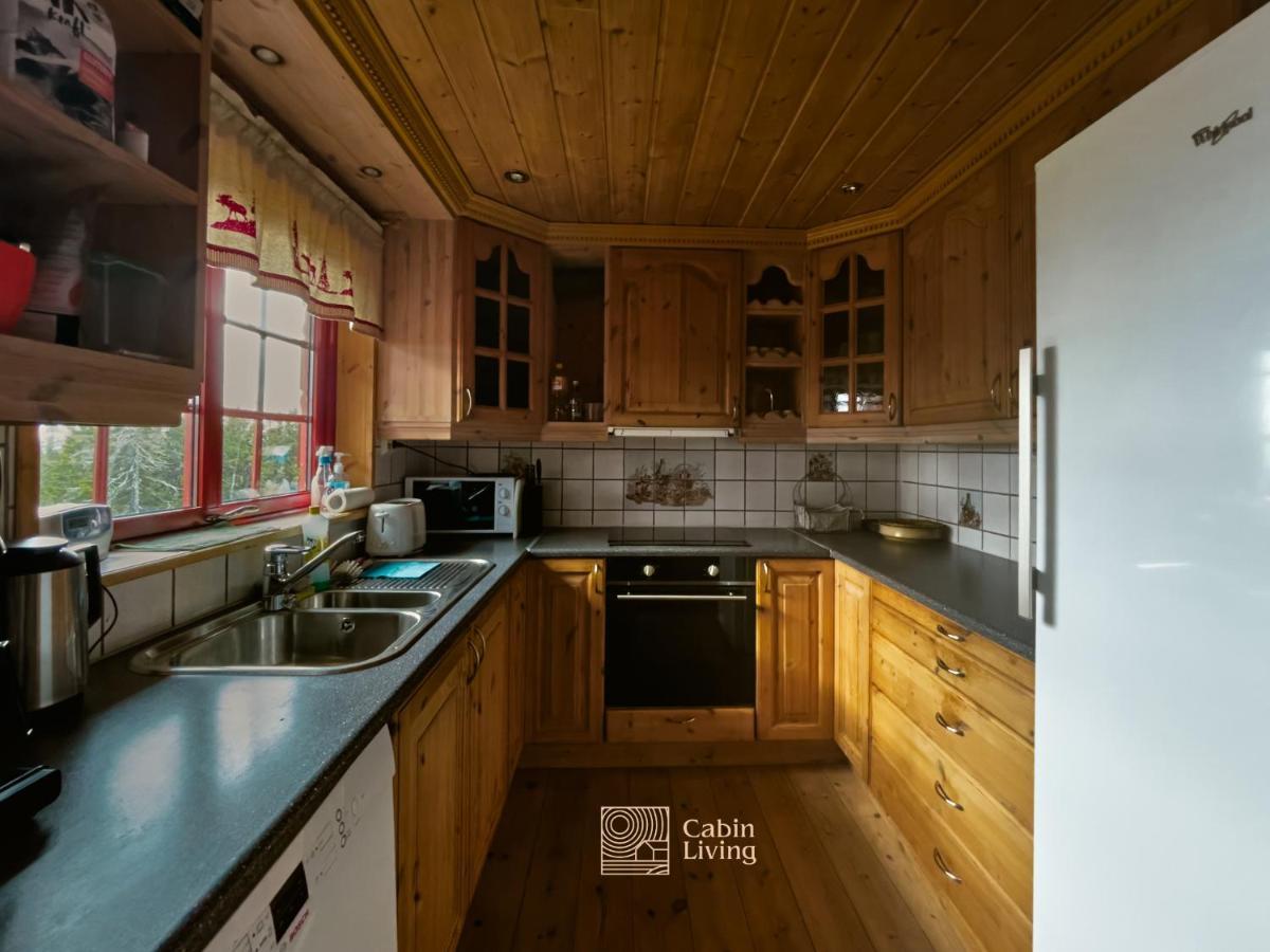 Large 2 Baths And Sauna In Sjusjoen