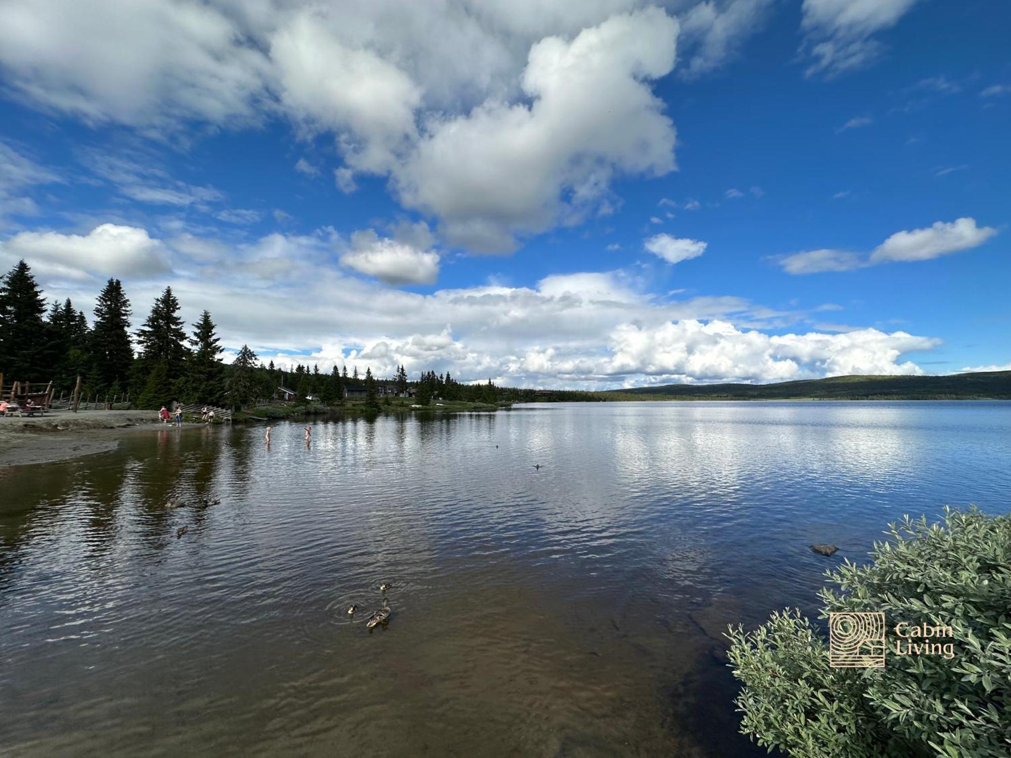 Large 2 Baths And Sauna In Sjusjoen * Lillehammer